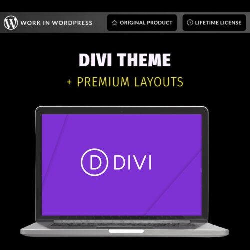 Divi WordPress Theme Full Package - Image 5