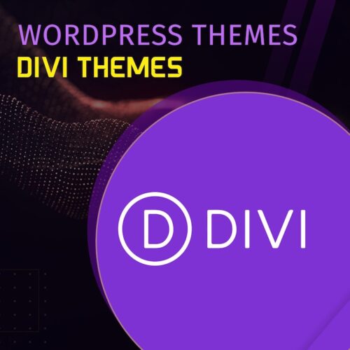 Divi WordPress Theme Full Package
