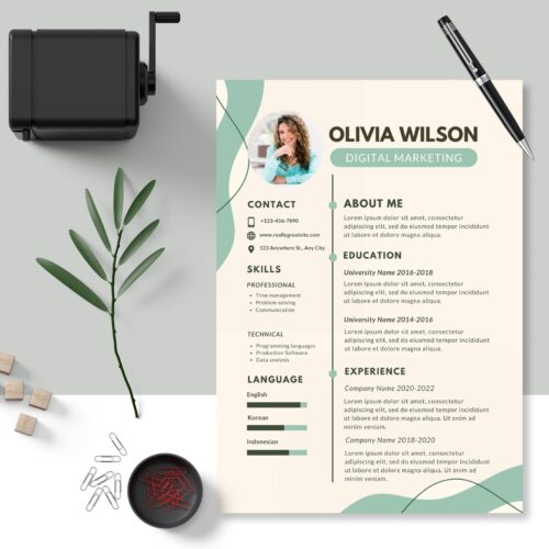 CV Template Photo Resume Template - Image 3