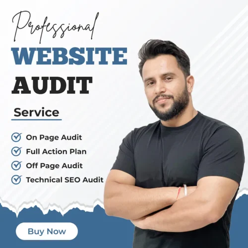 Professional Website SEO Audit Service