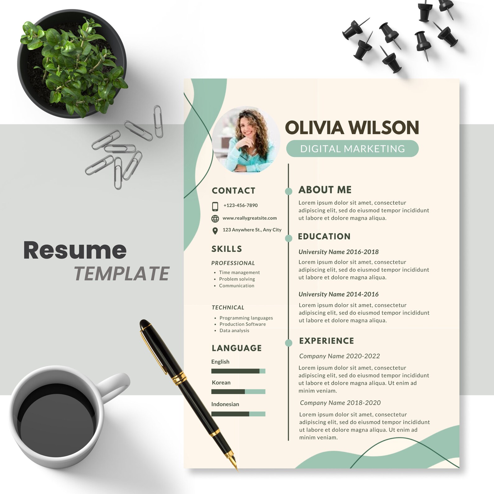 CV Template Photo Resume Template